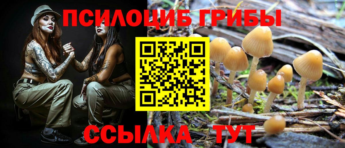 Галлюциногенные грибы мухоморы Россошь
